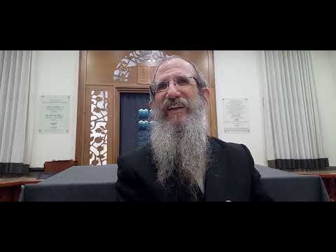 היכן ישב הכלב ?