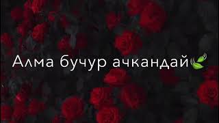 Аселдейим.  Ырыскелди Убайдулла Уулу