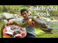 Catching the Freshwater eel {catch and cook} Eat in Naga style || Jungle infinity