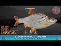 Russian Fishing 4 - Ladoga Lake - Roach Trophy Spot - #345