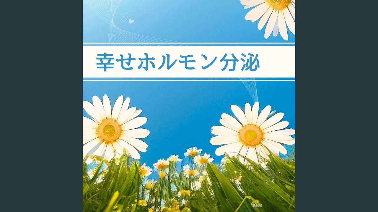 Obejrzyj 心身の浄化 w YouTube