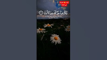 سورة الضحى 🌿🕊️🌿