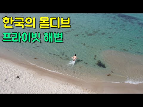 눈치싸움 시작 - 티끌 하나 없이 맑은 프라이빗한 해변에서 스노클링하기