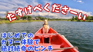 【梅雨のAP旅5】はじめてのカヌー体験で大パニック絶対絶命のピンチ　ゴールデンレトリバー