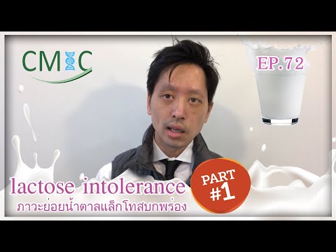 ภาวะย่อยน้ำตาลแล็กโทสบกพร่อง: Part 1 (Lactose Intolerance) โดยนายแพทย์จักรีวัชร