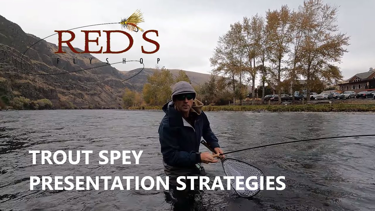 Trout Spey School // Part 2 - Presentation Tips and Tactics 