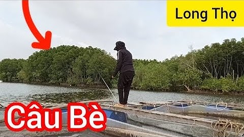 Hết Nước Câu Đùng Chuyển Qua Câu Bè || Câu Cá Nâu Bè Long Thọ/ Đam mê câu cá