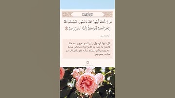 سورة آل عمران أية (٣١)