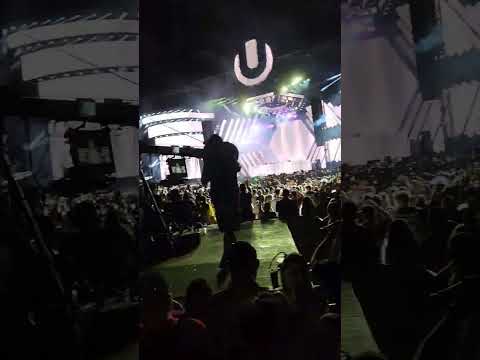 Ultra music festival