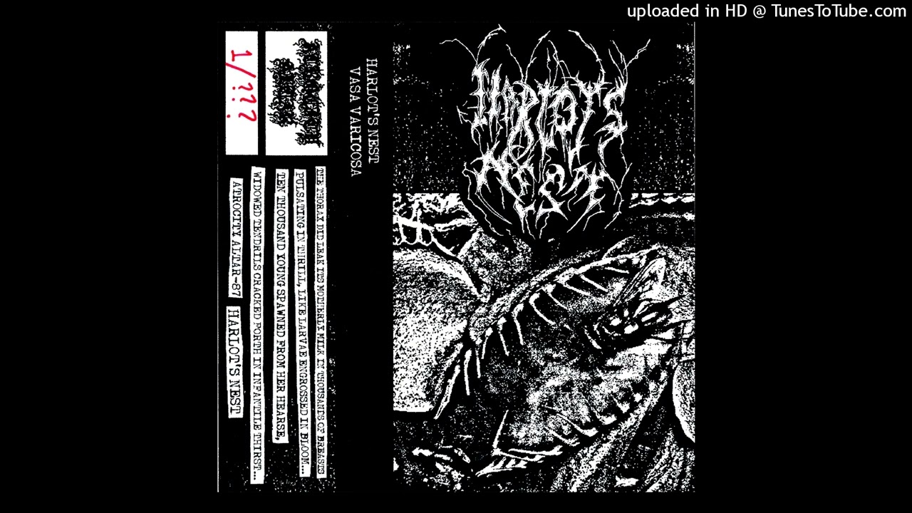 Ver Harlot's Nest - Dark Talons Ablaze no YouTube Ver Harlot's Nest - Dark Talons Ablaze no YouTube