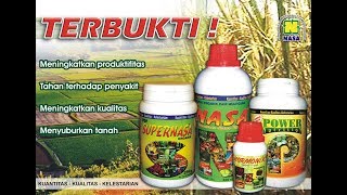 Teknis Budidaya Padi Teknologi Organik NASA