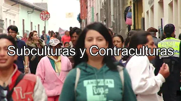 ¿Qué diferencias hay entre una cultura y una subcultura?