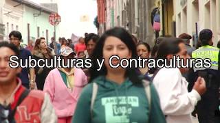 Subculturas y Contraculturas