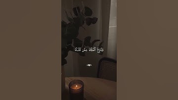 فيضلة الشيخ فارس عباد #تلاوة_خاشعة #قرآن #راحة_نفسية #اكسبلور #funny #متابعه #لايك