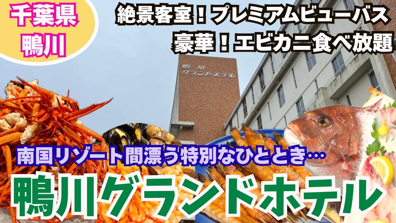 【千葉・鴨川】海老&蟹ビュッフェが我が家を沼らせる…！オーシャービューな客室と温泉に癒される南国リゾート感漂う贅沢ホテル✨✨