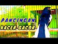 Pancingan Dan Masteran Cocok Untuk Semua Jenis Kacer Di Jamin Setek Mp3 - Mp4 Download