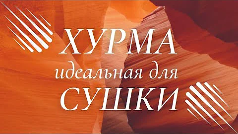 ХУРМА идеальная для СУШКИ. Сорт ШАРОН.