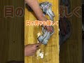 アオリイカ1番美味しい一夜干しを家の中で作る【時間がない人のための動画】#shorts #料理