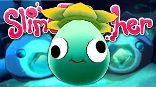 We've found the last statues, activated fountains and watered plants!
glass desert will never be he same. subscribe for more slime ranc...