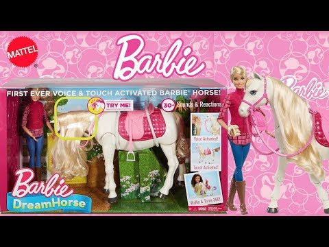 Barbie DreamHorse and Doll