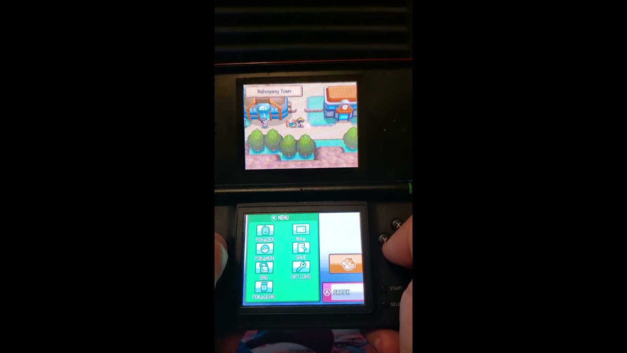 R4 Card On Nintendo DS Mikeinoid