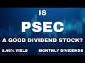 Is PSEC a Good Dividend Stock? (9%+ Yield, Monthly Dividends)