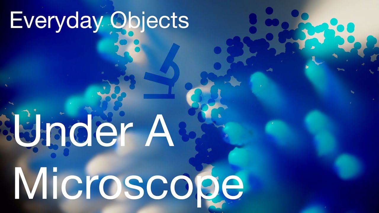 Can You Recognise Everyday Objects From Under A Microscope? - YouTube