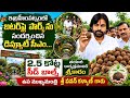 ప్రపంచ పర్యావరణ దినోత్సవం సందర్భంగా బటర్ ఫ్లై పార్క్ ని సందర్శించిన డిప్యూటీ సీఎం పవన్ కళ్యాణ్
