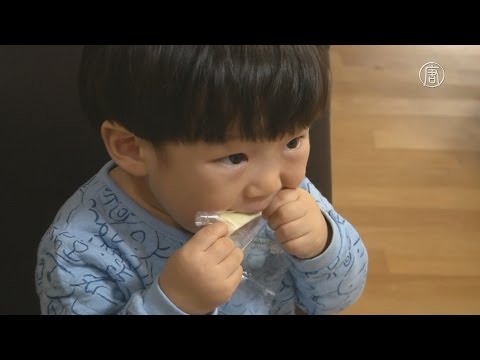 Видео: В Южной Корее есть тематический парк, посвященный сыру
