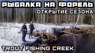 Рыбалка Весной | В поисках Речной Форели Открытие сезона | Ультралайт Рыбалка на Лесной Реке