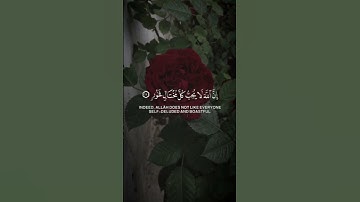 تلاوه من سورة لقمان|بصوت الشيخ ياسر الدوسري🎧♥️#trending #quran #قران_كريم #راحة_نفسية #قرآن