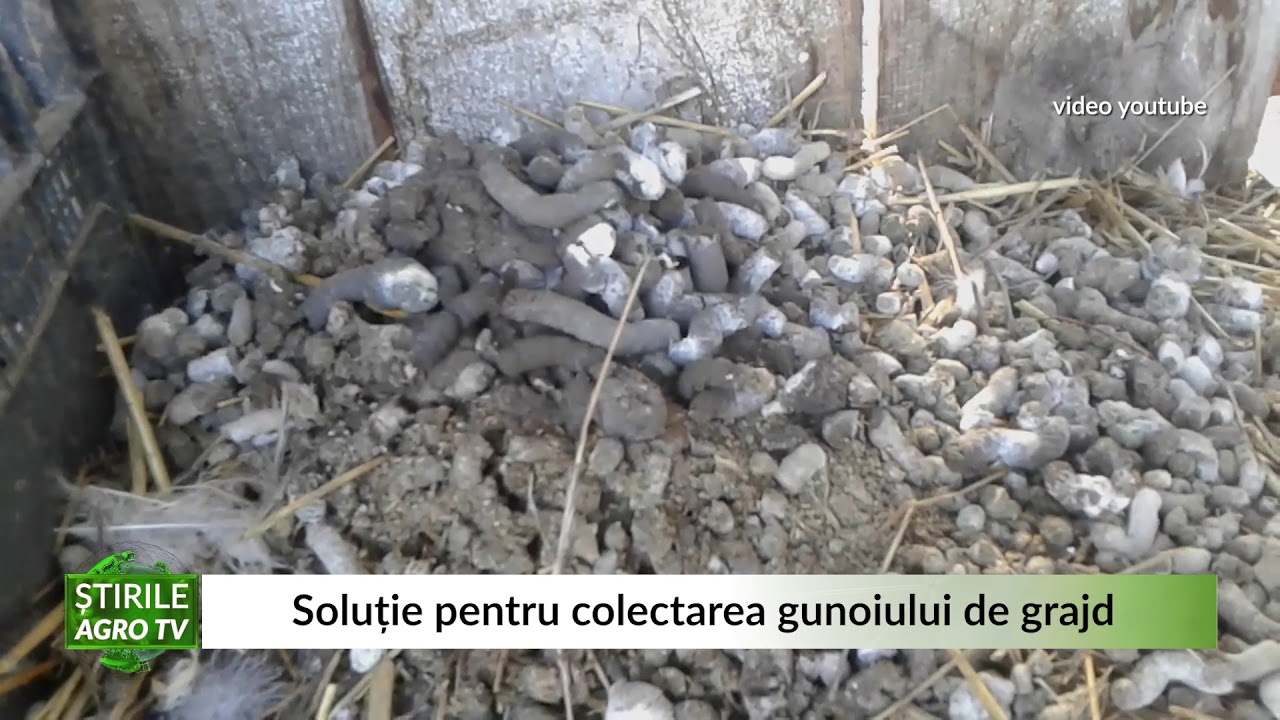 Soluție pentru colectarea gunoiului de grajd 04 11 2020
