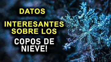 ¿Qué 5 datos hay sobre los copos de nieve?