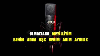 Sibel Can - Benim Adım Aşk / Karaoke / Md Altyapı / Cover / Lyrics / HQ Resimi