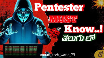 Web Application Basics & Burp Suite Beginner Tutorial | Learn Ethical Hacking Step by Step