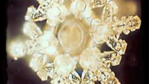 Masaru Emoto - Water Experiments