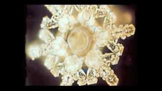 Masaru Emoto - Water Experiments