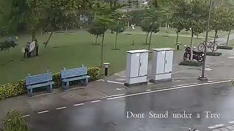 Lightning hits 4 men | Freak Accident | Why not to stand under a Tree 🌴