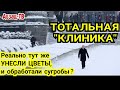 Maния Пyтина - стадия "KЛИHИКA"? Реально обрабатывают сугробы и тут же уносят "возложенные" цветы?