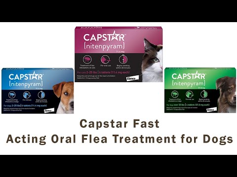 वीडियो: कुत्तों में Fleas से लड़ने के लिए Capstar का उपयोग करना: उपचार और जहां खरीदना है