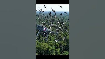 Drone Flying Over Mountains Gets Attacked by Birds! #aivideo #short #shorts