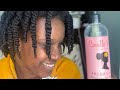 ONE Product Twistout Using Camille Rose Naturals Fresh Curl Hair Smoother Avocado & Castor Oil