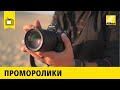 Конкурс «Экологический фотограф 2021 года»