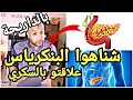 أسرار مدهشة ستسمعها لأول مرة عن البنكرياس Le Pancréas 