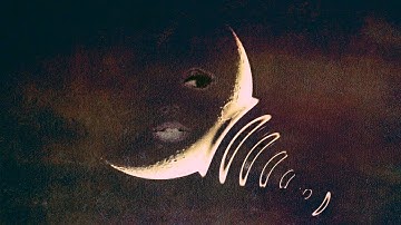 eightbysix - Selenium