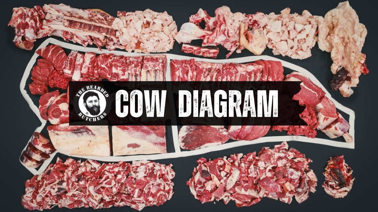 A Visual Guide to the Cuts of a Cow: Where Every Beef Cut Comes From