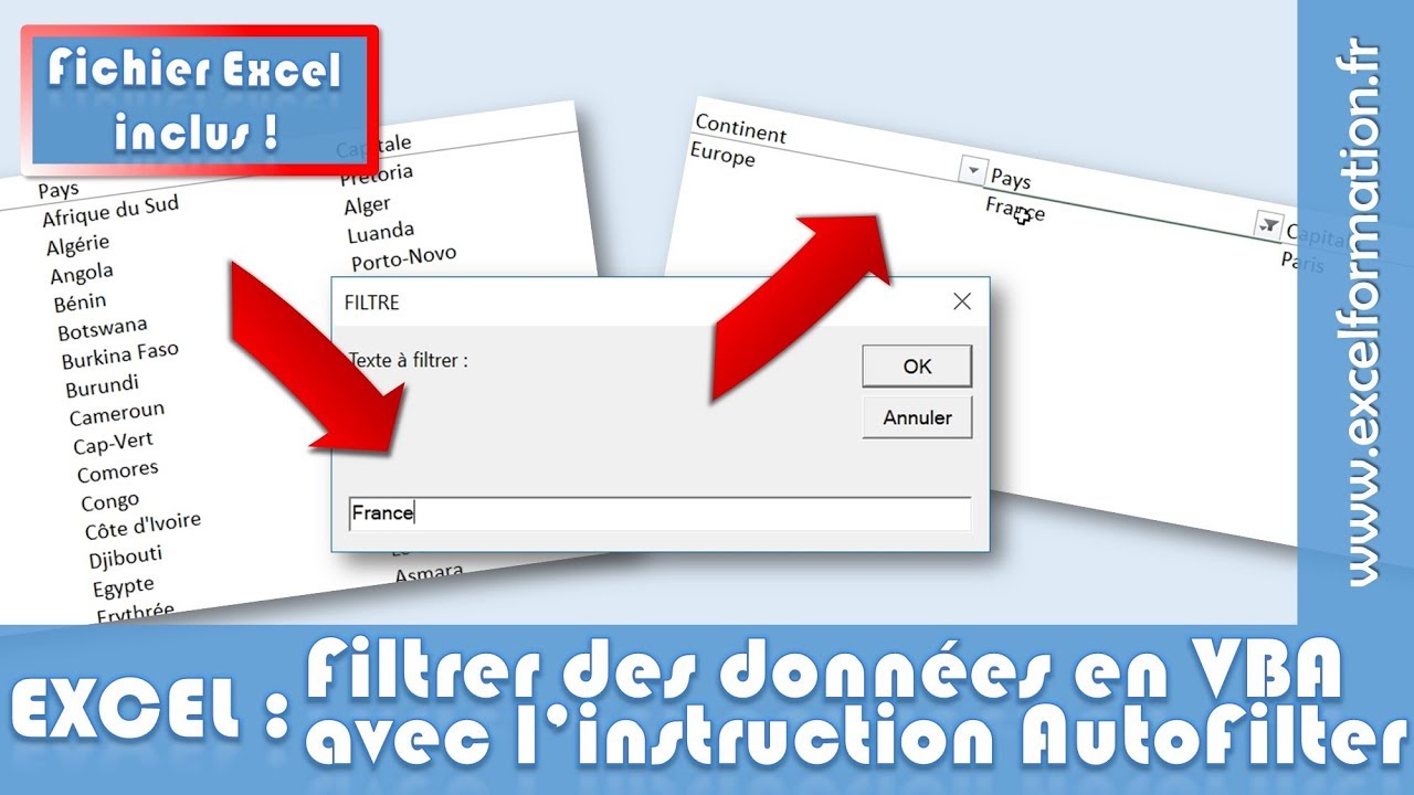 Comment Filtrer Des Donnees En Vba Sur Excel Excel Formation