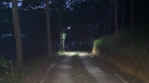 Đất làm homestay trang trại xã Xuân Thọ, Tp. Đà Lạt 1,2 mẫu 4,5 tỉ