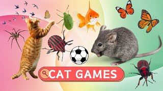 CAT Game | Collection Of Balls, Rats, Bugs, Butterflies  Cat TV | 1 HOUR