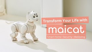 Transform Your Life with AI Robot Cat Maicat!